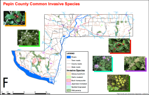 Pepin County Common Invasive Species